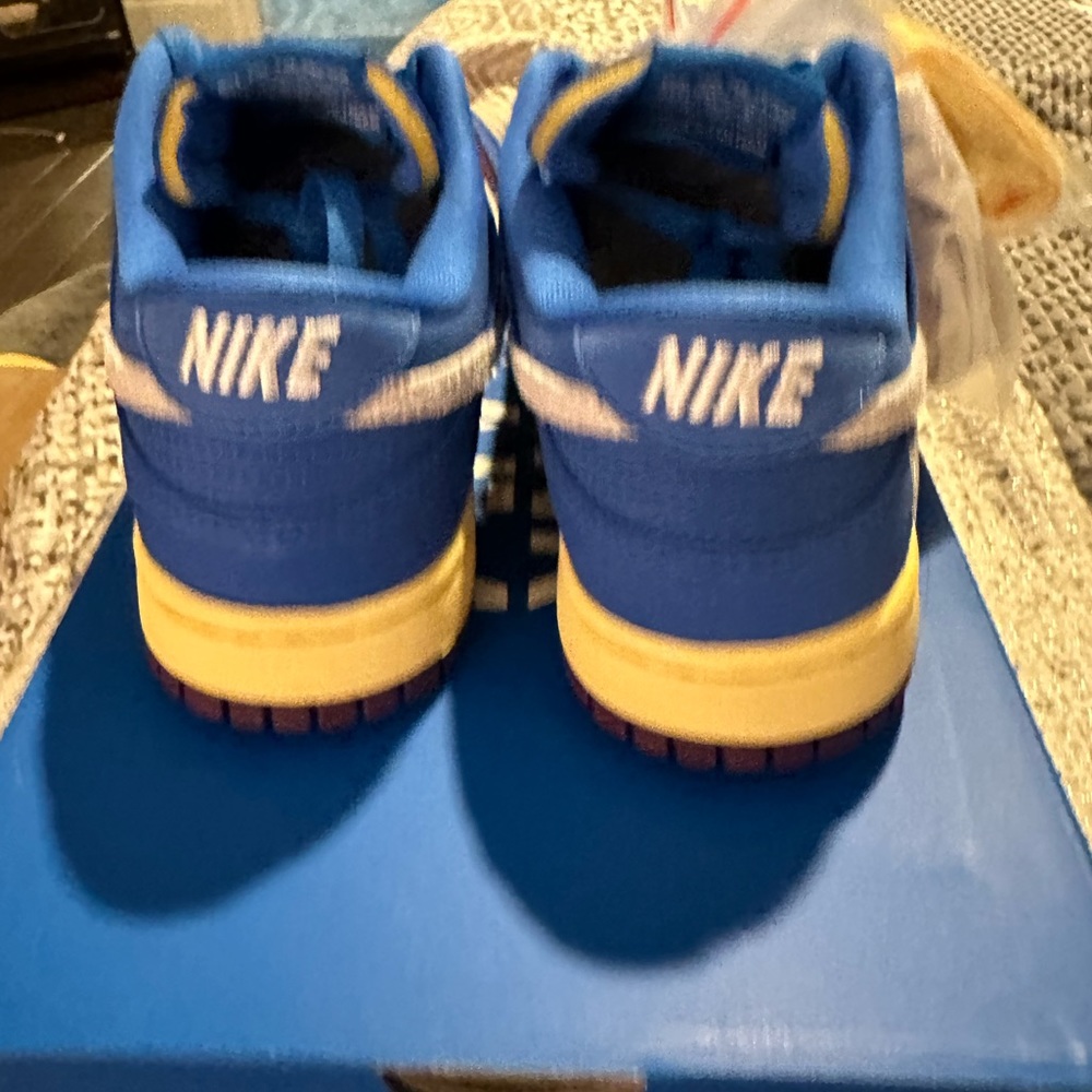 NIB - Nike Dunk Low SP DH6508-400 - Picture 3 of 11